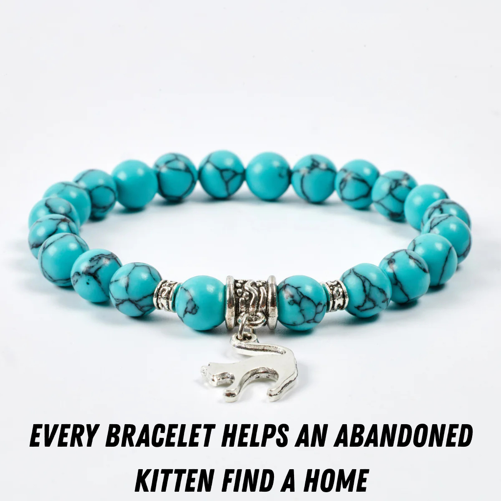 Marble Kitten Bracelet | Save A Kitten