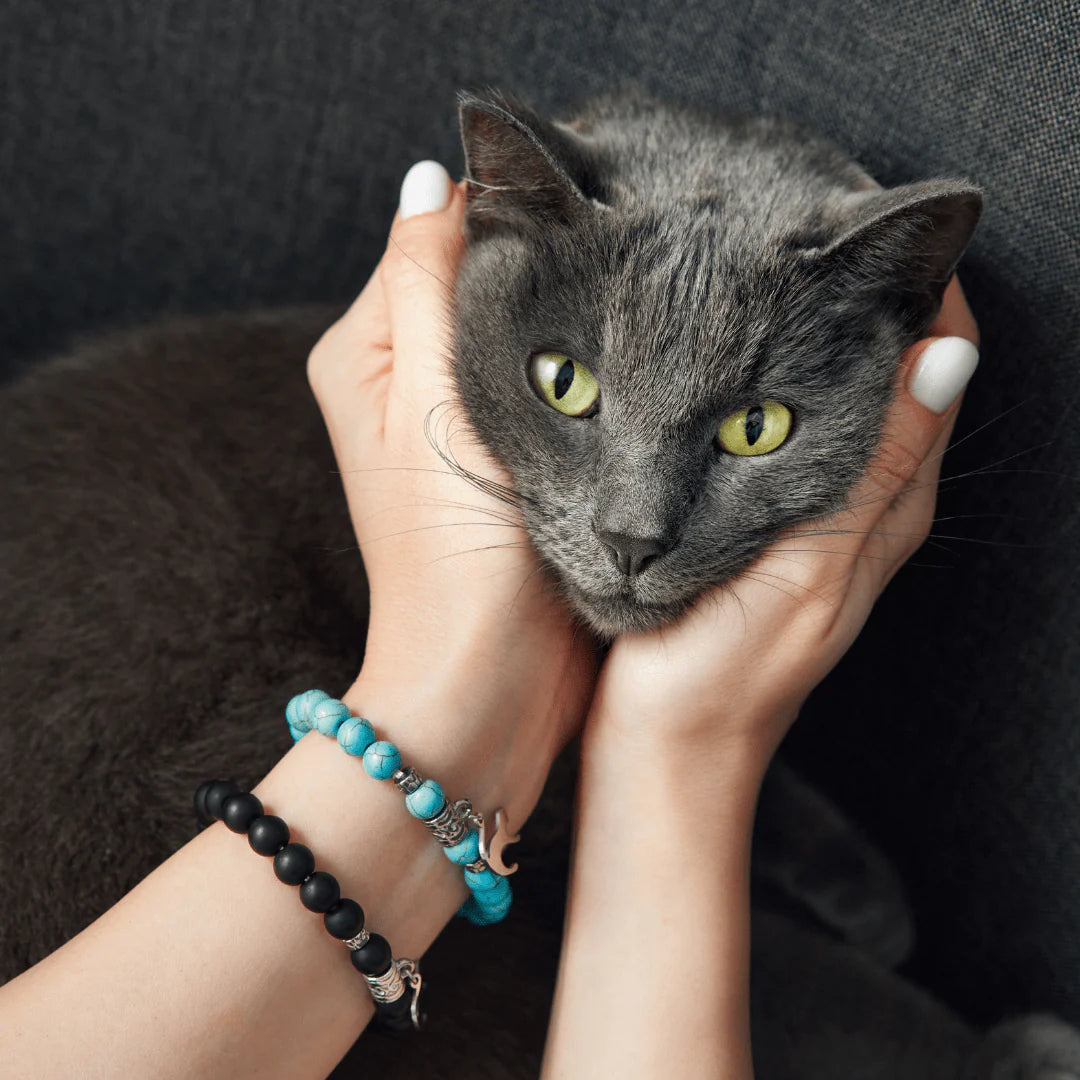 Marble Kitten Bracelet | Save A Kitten