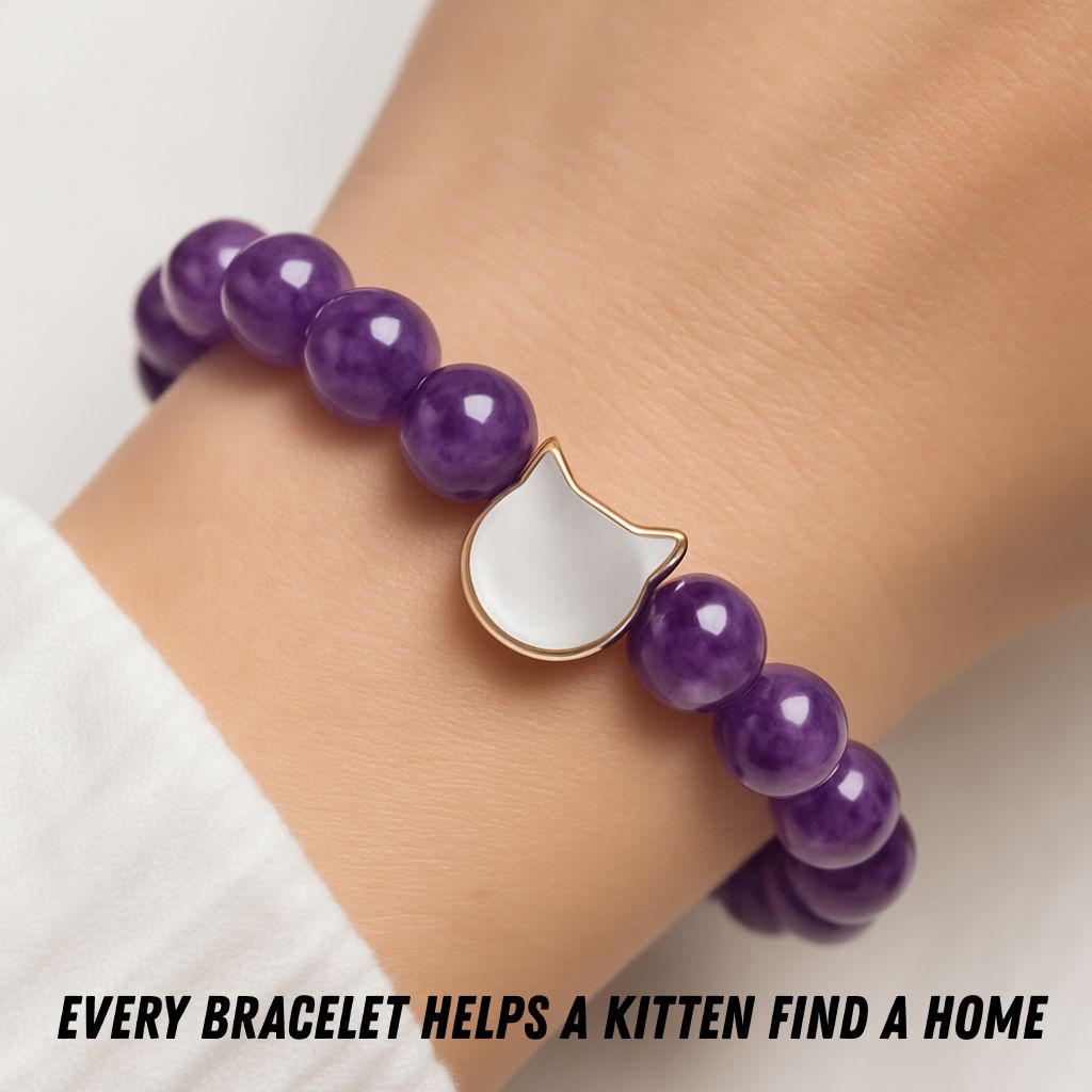 Amethyst Kitten Bracelet | Save A Kitten